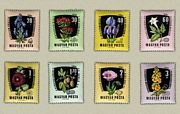 Gyógy- és Ipari Növények /stamp/