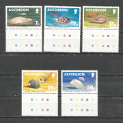 Kagyló  /stamp/