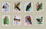 Természetvédelem (III.) (Védett madarak) /stamp/