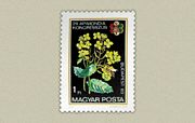 Apimondia Kongresszus /stamp/