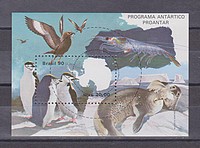 Antarktis,állat,madár Blokk /bélyeg/