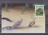 Hüllö,krokodil CM /bélyeg/