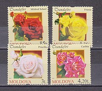 Rózsa,virág /stamp/